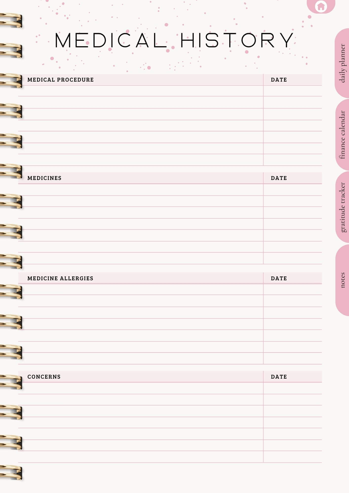 That Girl Planner: Both Digital & Printable | with Resell Rights
