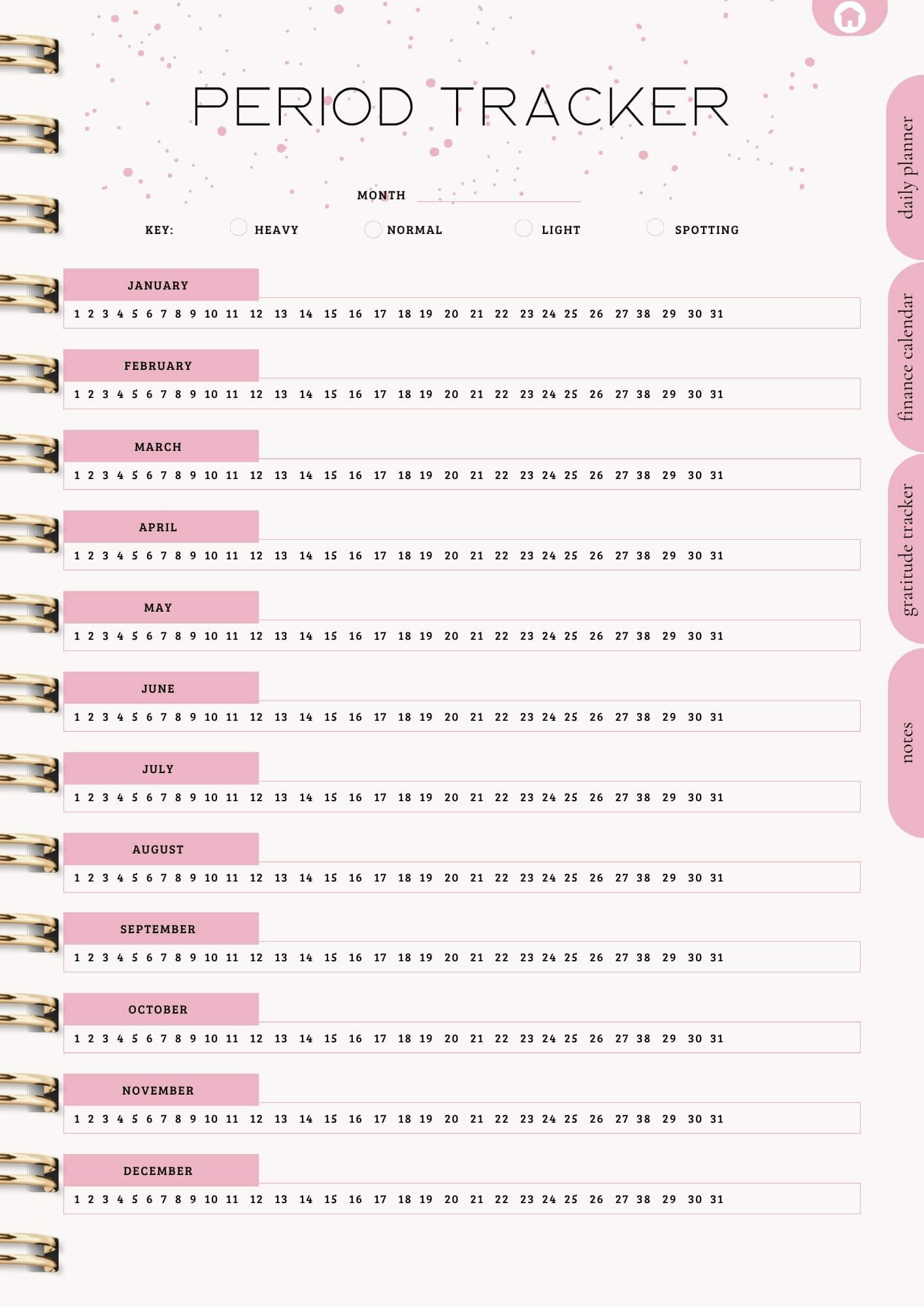 That Girl Planner: Both Digital & Printable | with Resell Rights