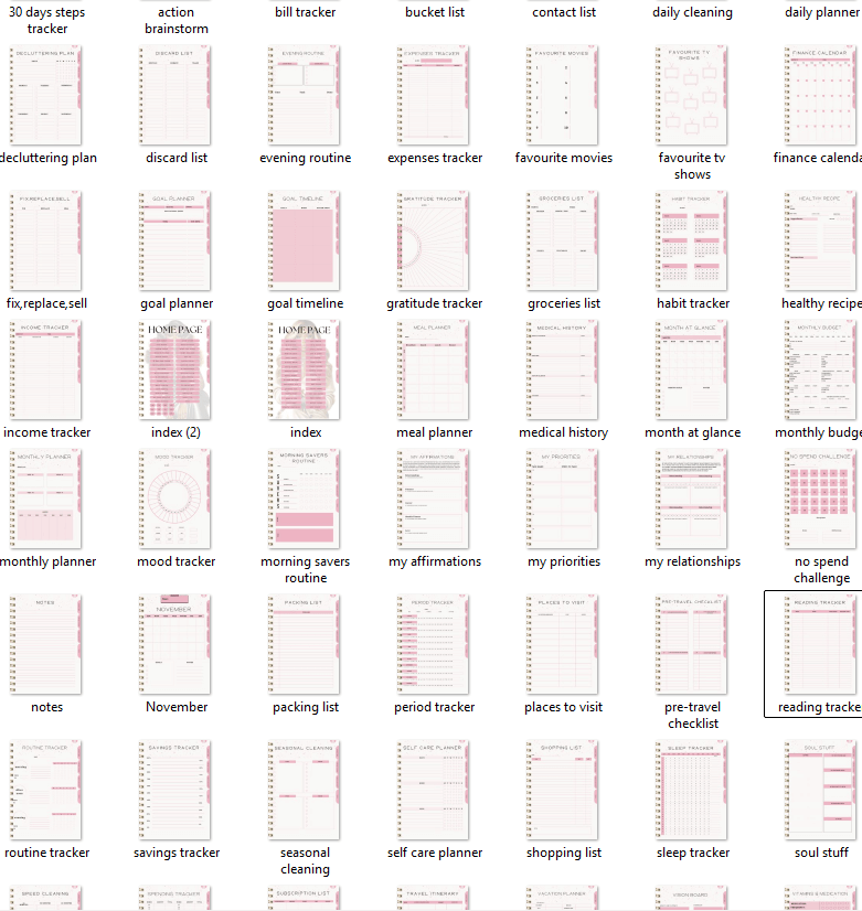 That Girl Planner: Both Digital & Printable | with Resell Rights