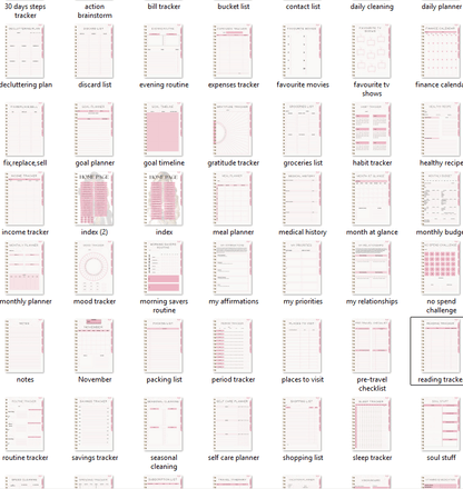 That Girl Planner: Both Digital & Printable | with Resell Rights