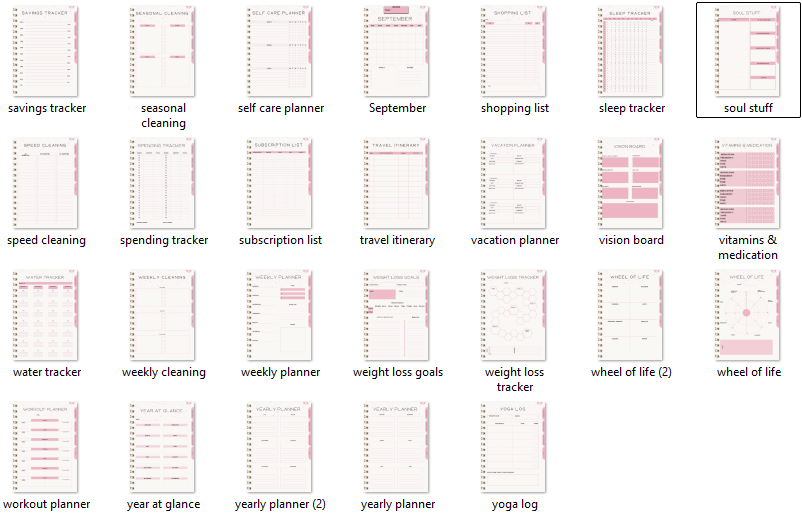 That Girl Planner: Both Digital & Printable | with Resell Rights